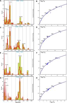 Tectonic evolution of the Northeastern Paleo-Tethys Ocean during the late Triassic: insights from depositional environment and provenance of the Xujiahe formation